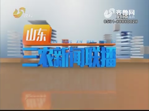 2019年01月12日《山东三农新闻联播》完整版