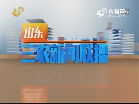2019年01月18日《山东三农新闻联播》完整版