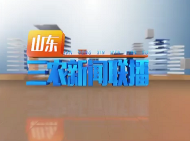 2019年01月16日《山东三农新闻联播》完整版