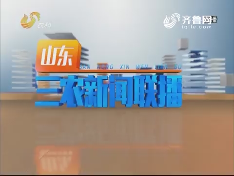 2019年01月28日《山东三农新闻联播》完整版