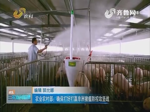 【三农要闻】农业农村部：确保打好打赢非洲猪瘟防控攻坚战