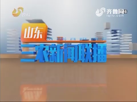 2019年01月30日《山东三农新闻联播》完整版