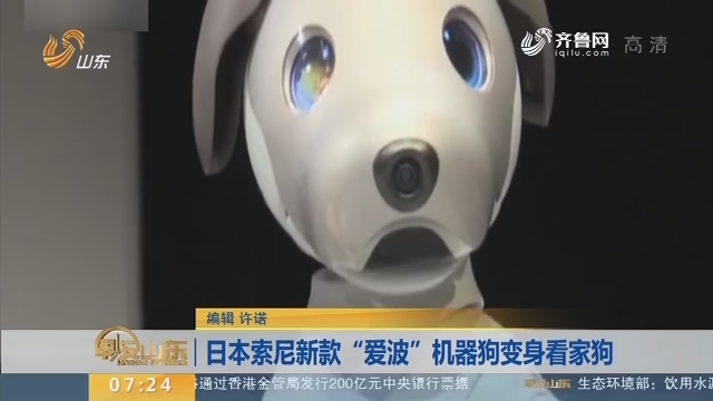 日本索尼新款“爱波”机器狗变身看家狗