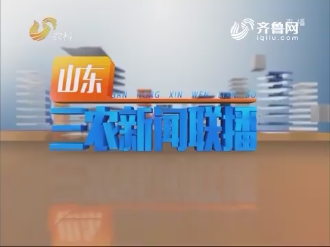 2019年02月01日《山东三农新闻联播》完整版