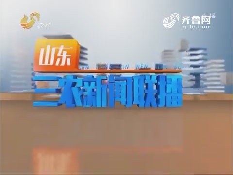 2019年02月03日《山东三农新闻联播》完整版