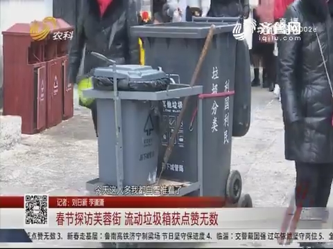 春节探访芙蓉街 流动垃圾箱获点赞无数