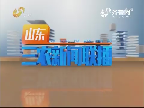 2019年02月08日《山东三农新闻联播》完整版