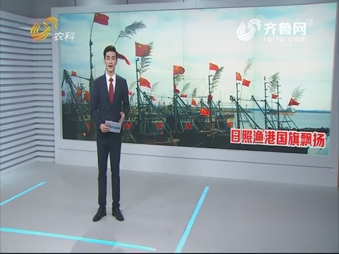【图说三农】日照渔港国旗飘扬