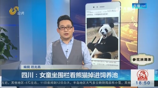 【新说法】四川：女童坐围栏看熊猫掉进饲养池