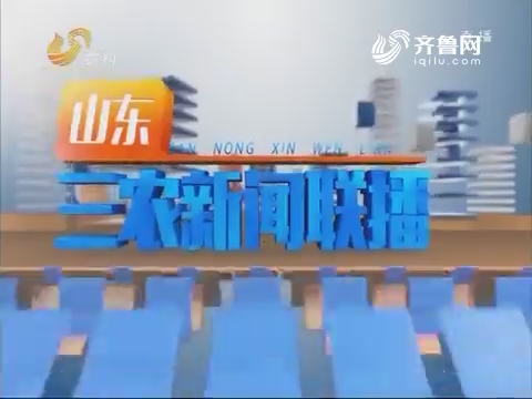 2019年02月13日《山东三农新闻联播》完整版