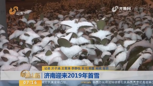【闪电新闻排行榜】济南迎来2019年首雪