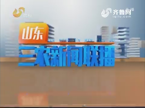 2019年02月15日《山东三农新闻联播》完整版
