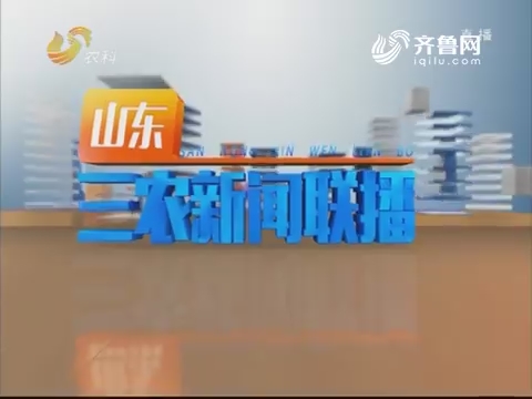 2019年02月17日《山东三农新闻联播》完整版
