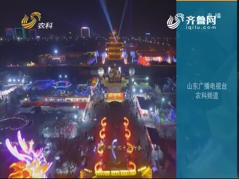 杨家埠民俗文化灯会