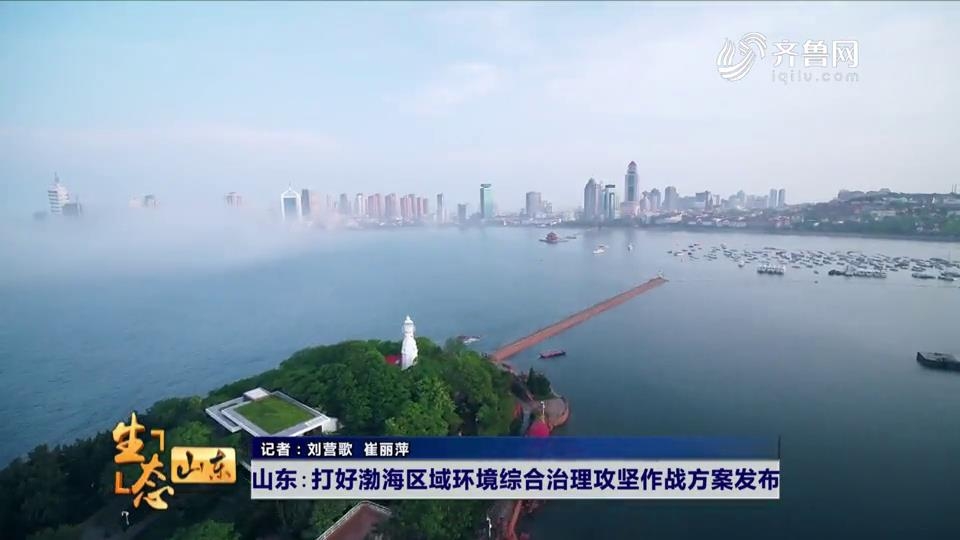 山东：打好渤海区域环境综合治理攻坚作战方案发布