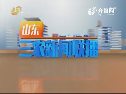 2019年03月04日《山东三农新闻联播》完整版