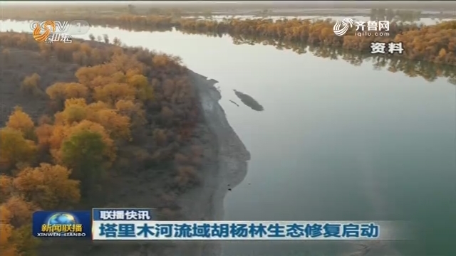 【联播快讯】塔里木河流域胡杨林生态修复启动