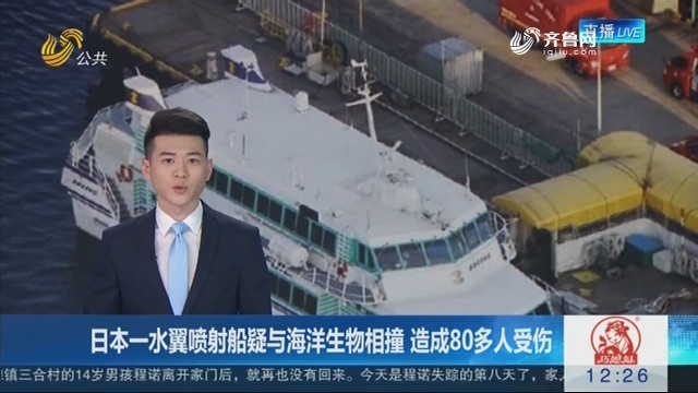 日本一水翼喷射船疑与海洋生物相撞 造成80多人受伤