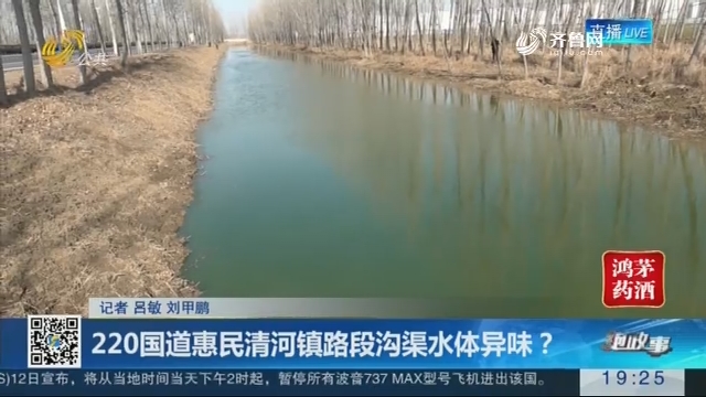 【跑政事】220国道惠民清河镇路段沟渠水体异味？