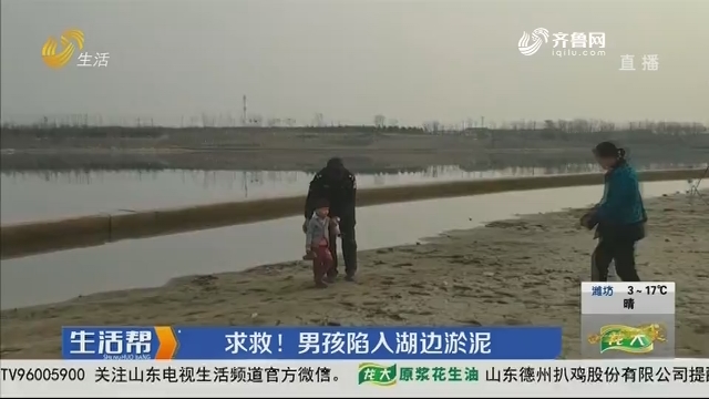 淄博：求救！男孩陷入湖边淤泥