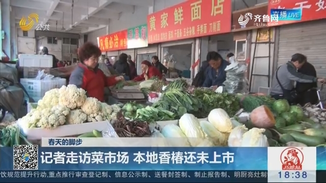 【春天的脚步】济南：记者走访菜市场 本地香椿还未上市