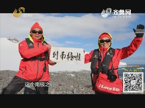 济南：80岁老夫妻游南极