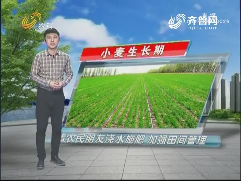 看天气：农民朋友浇水施肥 加强田间管理