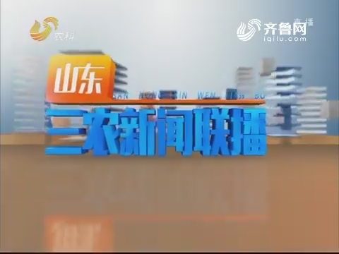 2019年03月31《山东三农新闻联播》完整版