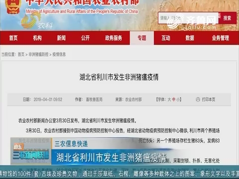 【三农信息快递】湖北省利川市发生非洲猪瘟疫情