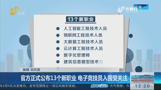 官方正式公布13个新职业 电子竞技员入围受关