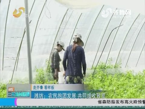 【走齐鲁 看样板】潍坊：农民抱团发展 共同增收致富