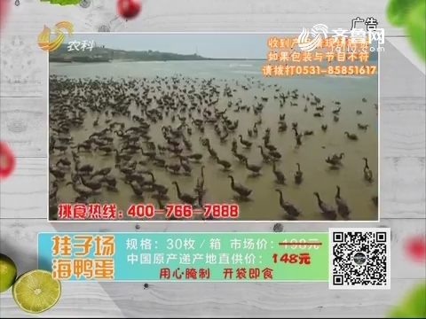20190408《中国原产递》：海鸭蛋