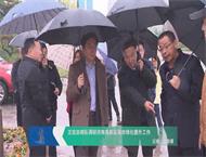 王宏志带队调研济南高新区城市绿化提升工作
