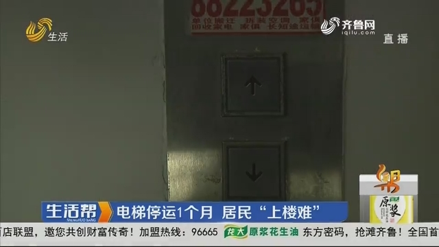 济南：电梯停运1个月 居民“上楼难”