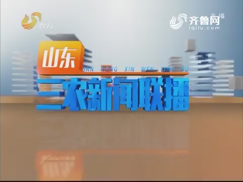 2019年04月11日山东三农新闻联播完整版