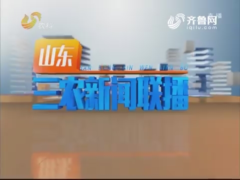 2019年04月16日山东三农新闻联播完整版