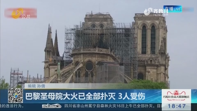 巴黎圣母院大火已全部扑灭 3人受伤