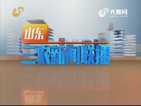 2019年04月17日山东三农新闻联播完整版
