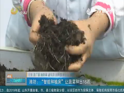 【科技兴农】潍坊：“智能种植床”让蔬菜种出16茬