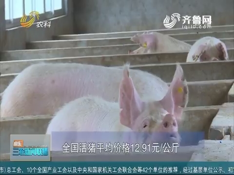 【三农信息快递】农业农村部：防治非洲猪瘟 形势依然严峻