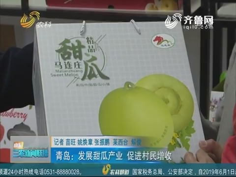 【三农信息快递】青岛：发展甜瓜产业 促进村民增收