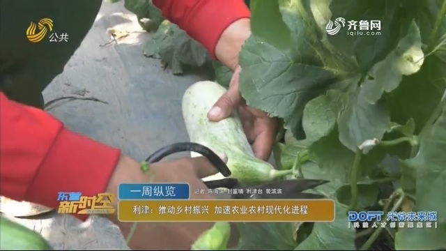 利津：推动乡村振兴 加速农业农村现代化进程