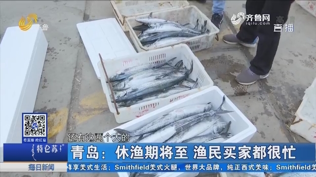 青岛：休渔期将至 渔民买家都很忙