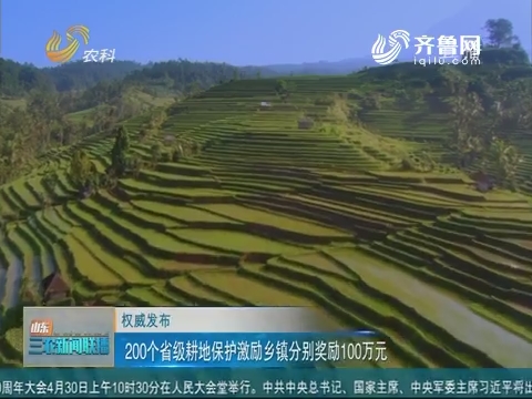 【权威发布】200个省级耕地保护激励乡镇分别奖励100万元