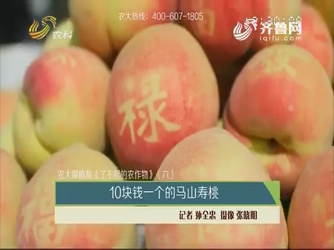 【农大腐植酸《了不起的农作物》（六）】10块钱一个的马山寿桃