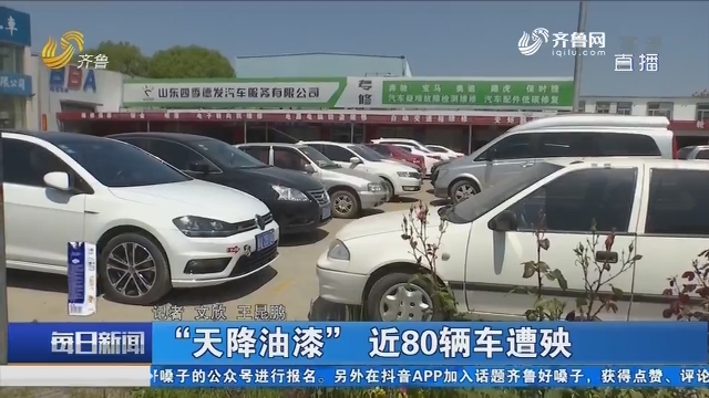 济南：“天降油漆” 近80辆车遭殃