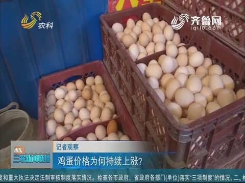 【记者观察】鸡蛋价格为何持续上涨？