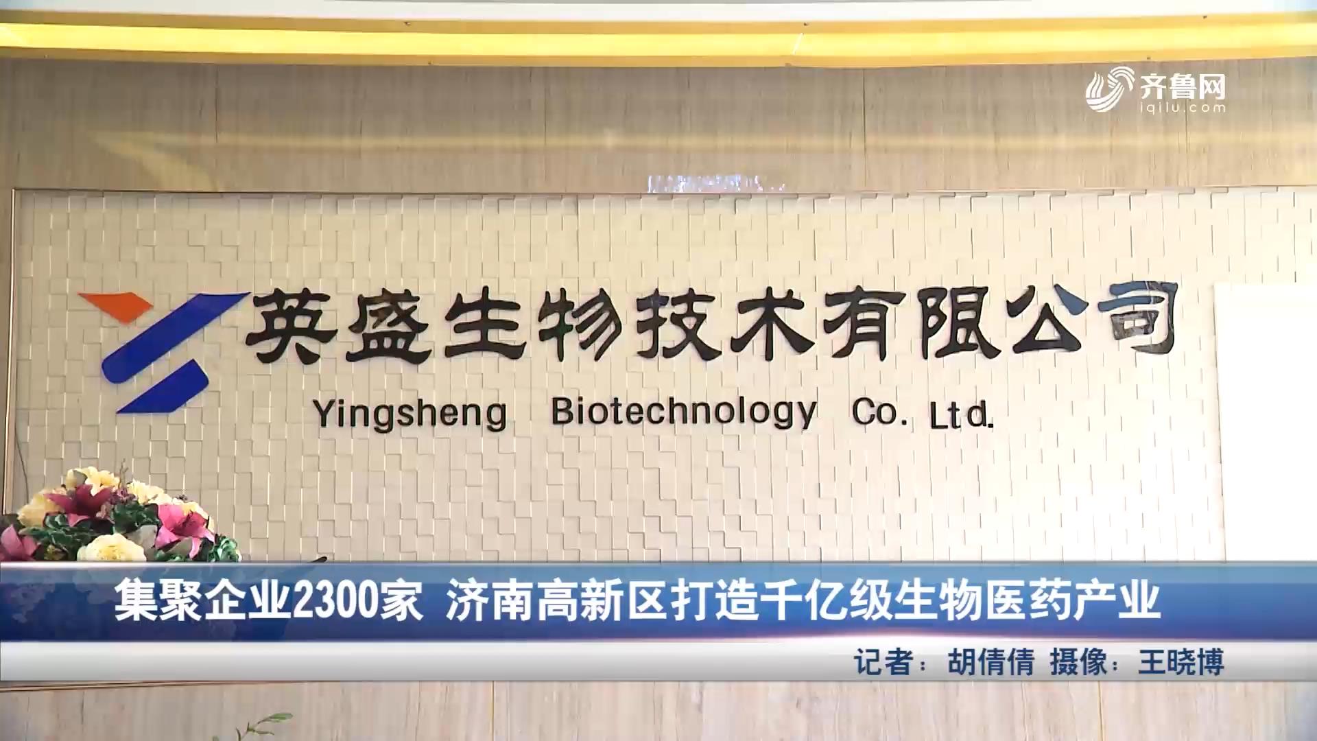 聚集企业2300家 济南高新区打造千亿级生物医药产业