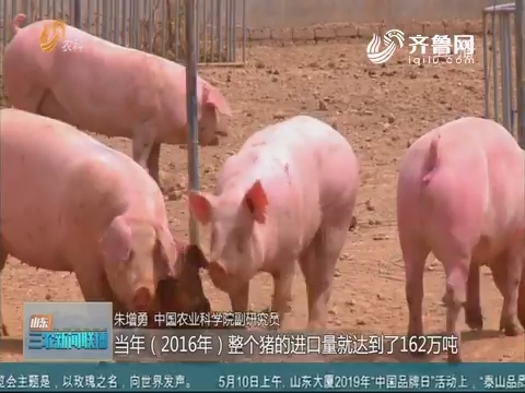 【记者观察】今年猪肉进口量预计200万吨或创新高