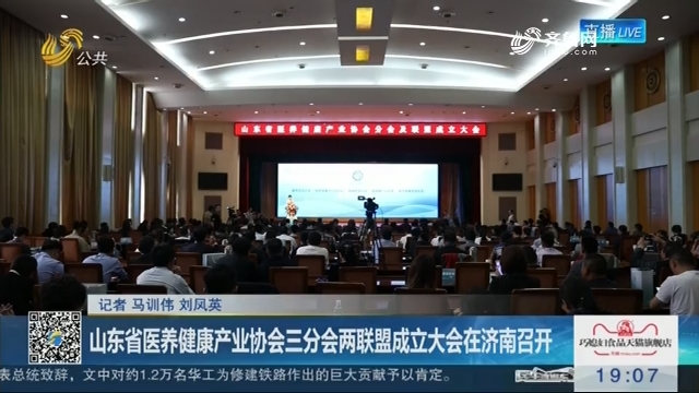 山东省医养健康产业协会三分会两联盟成立大会在济南召开